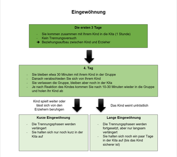 Ablauf Eingewöhnung